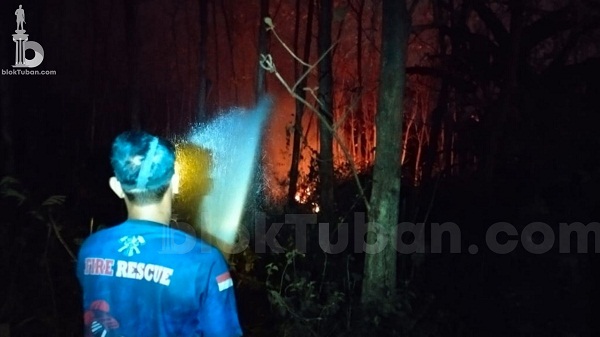 Sengaja Bakar Hutan Terancam Hukuman Tahun